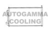 AUTOGAMMA 101230 Condenser, air conditioning